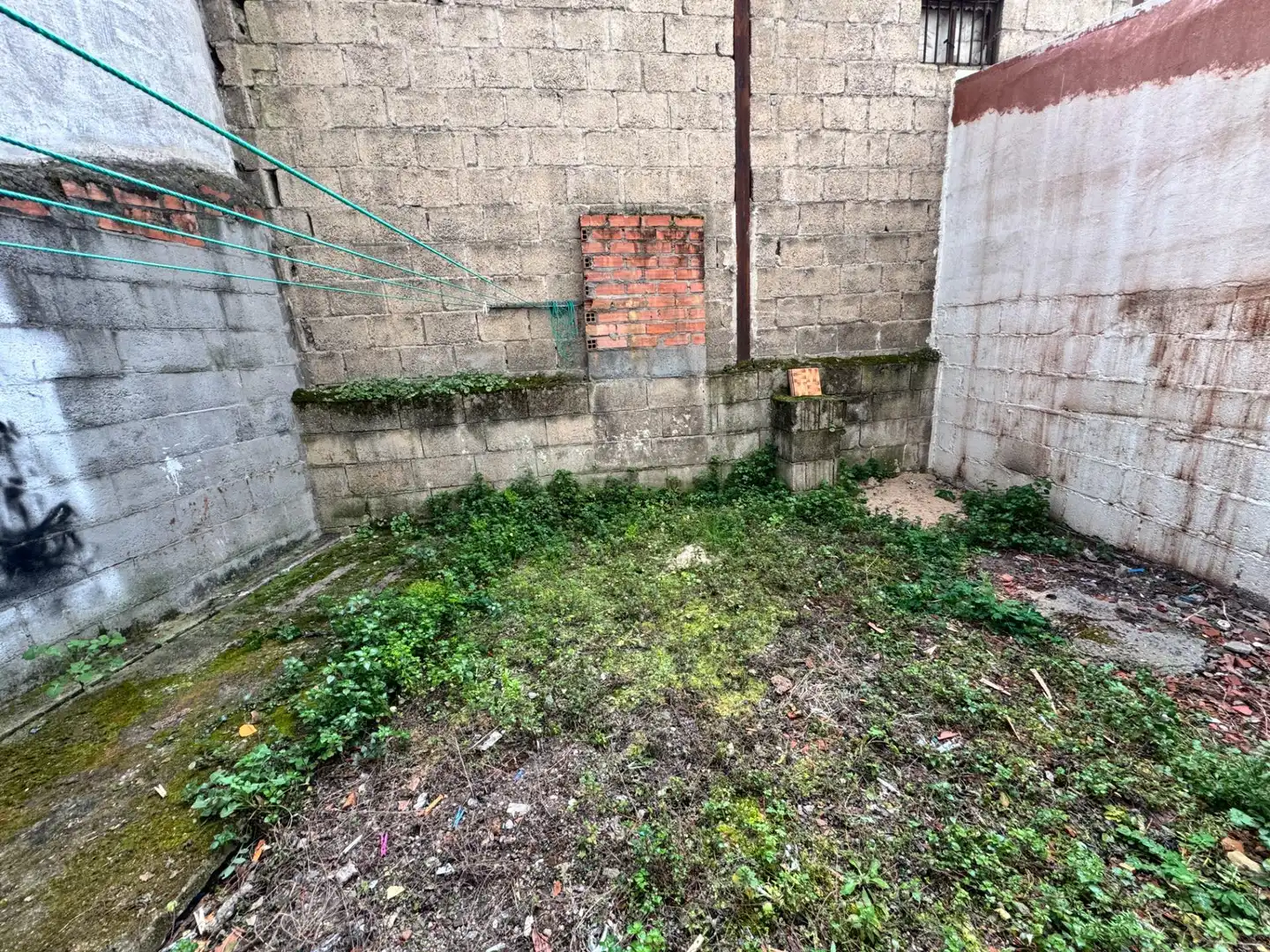 Local comercial en alquiler en Zona Alta, imagen 5