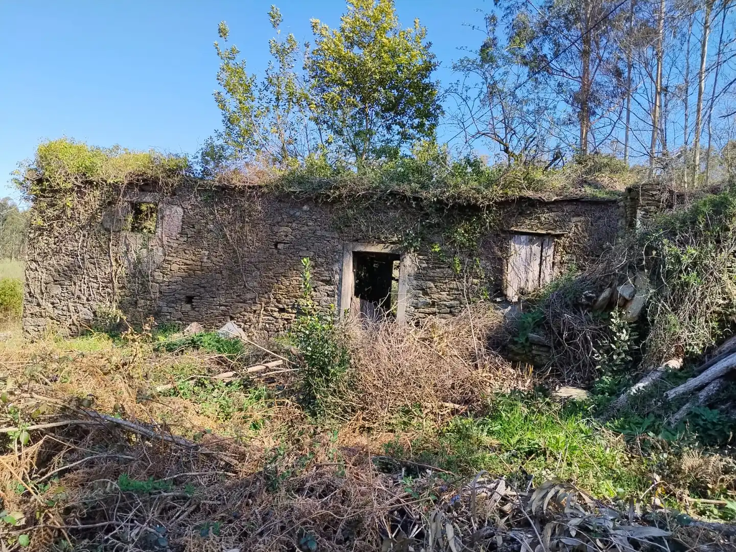Casa con giardino in vendita a Cerdido, imagen 6