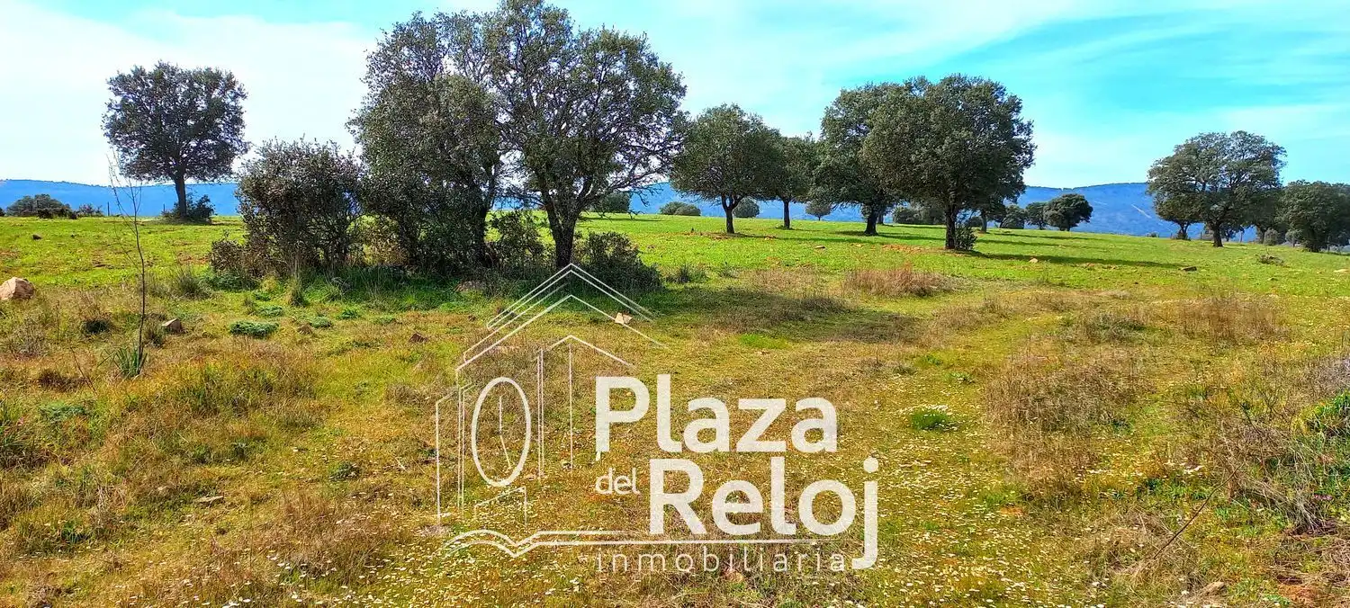 Terreno rustico in vendita a CERVANTES 0, imagen 9
