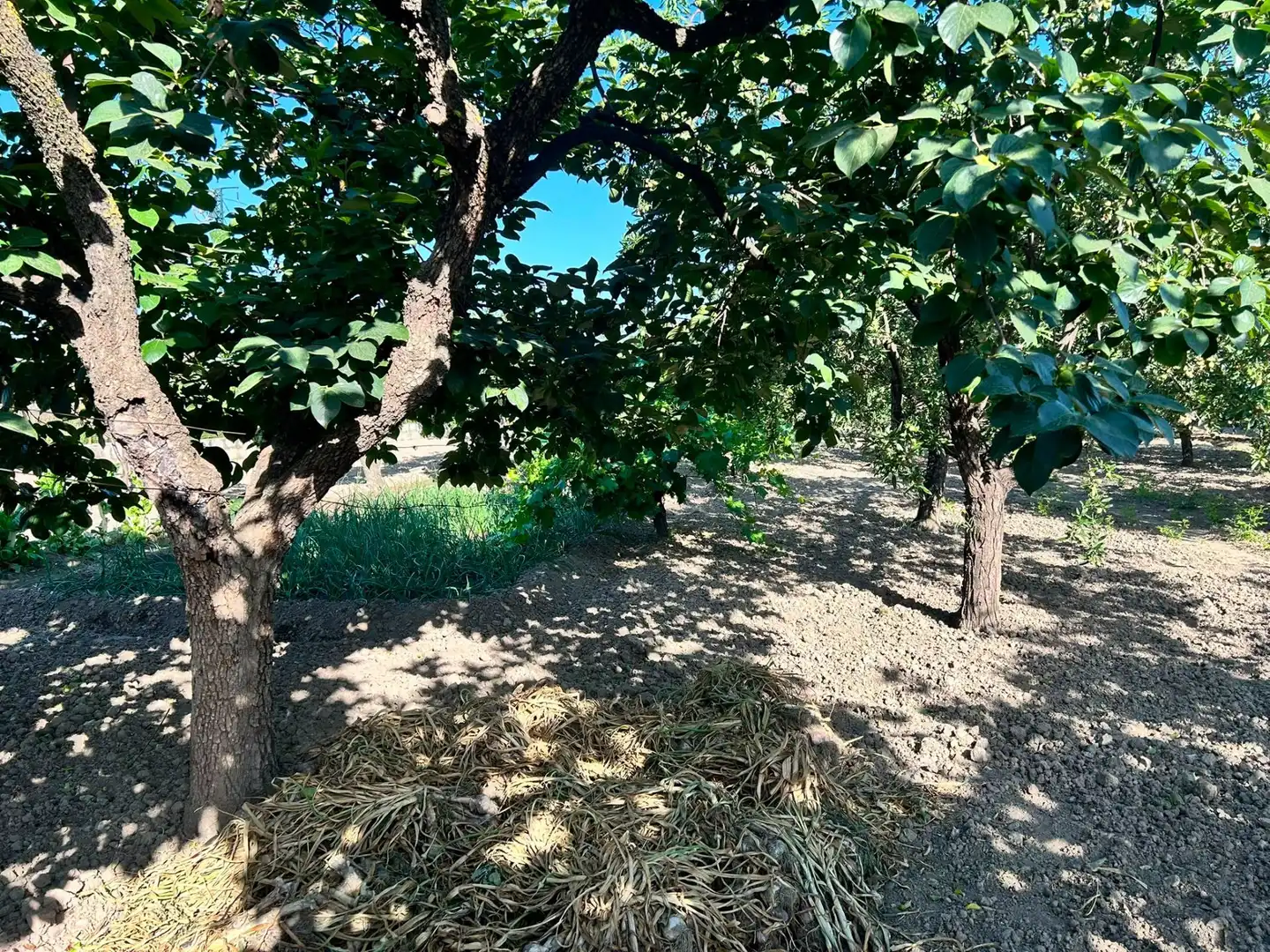 Terreni e lotti in vendita a Atarfe, imagen 7