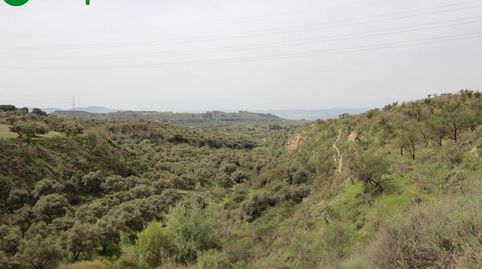 FINCA EN CORTIJO SAN JERÓNIMO BARTODANO, image 3