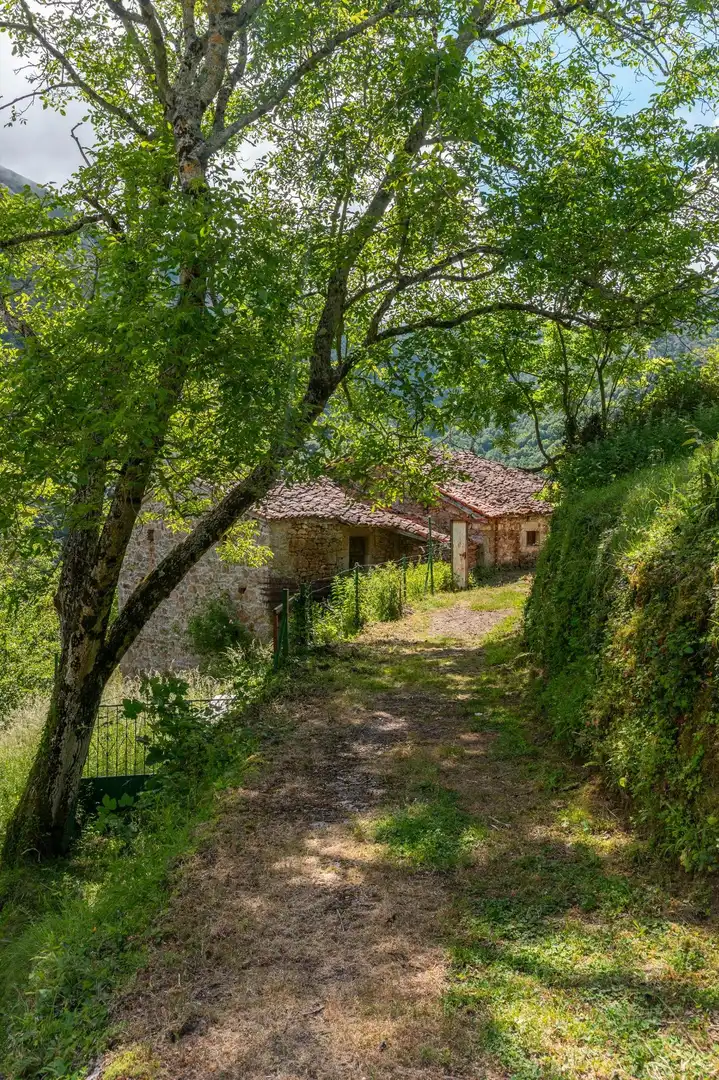 Maison à vendre à Lugar Lugar Castro 12, imagen 46