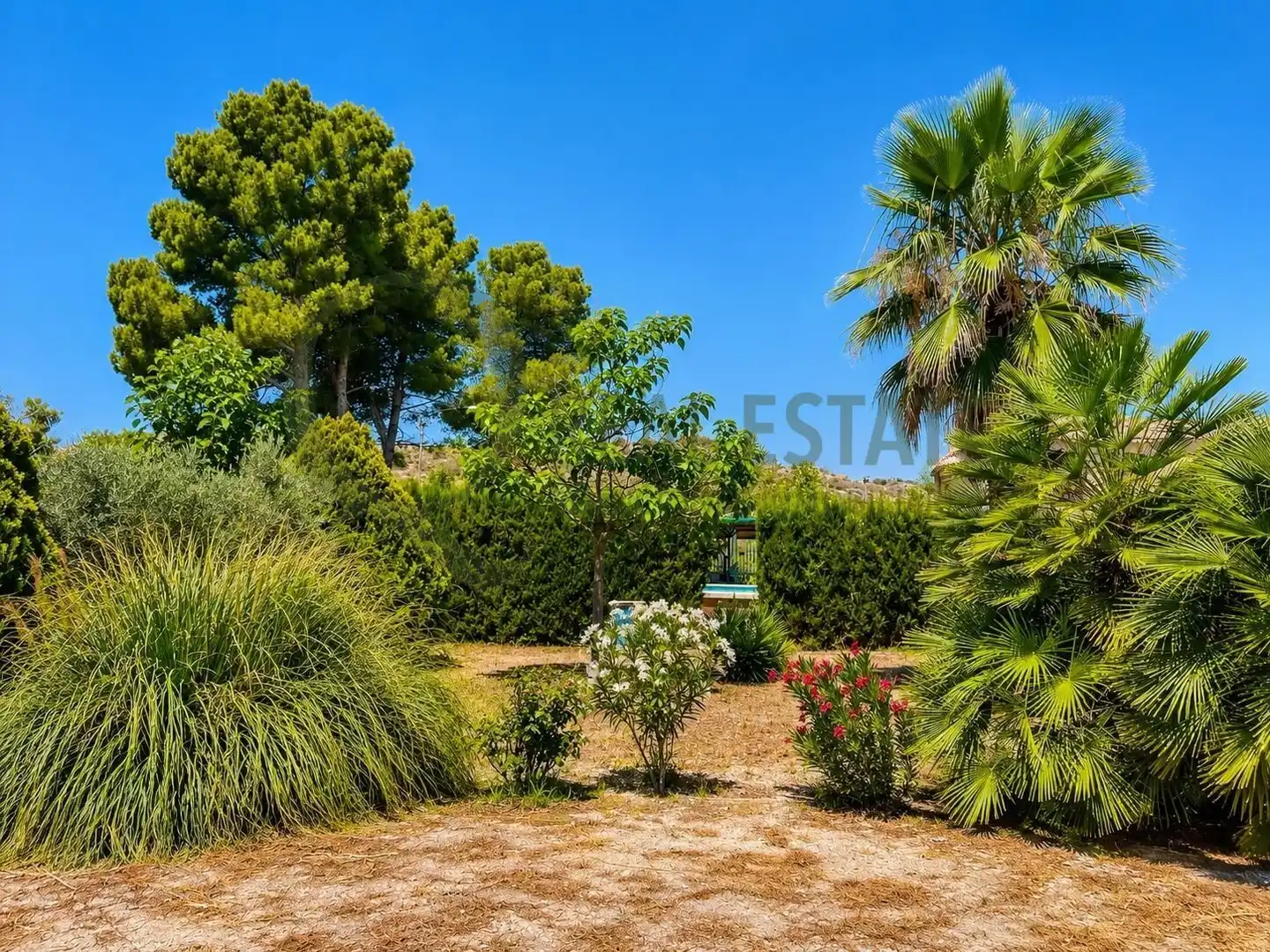 Casa o chalet en venta en Villena con Jardín privado, Piscina y Amueblado