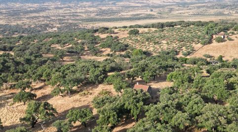 Foto 2 de Finca rústica en venta en Polígono 6 Parcela 425 Laderas de Mayorga. San Vic, San Vicente de Alcántara, Badajoz