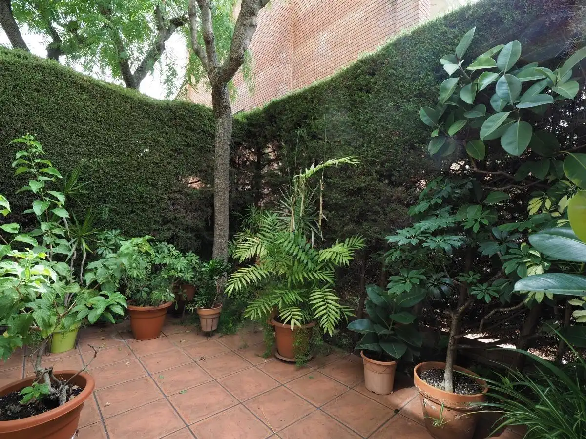 Maison mitoyenne avec terrasse à vendre à Passeig MISERICORDIA, imagen 20