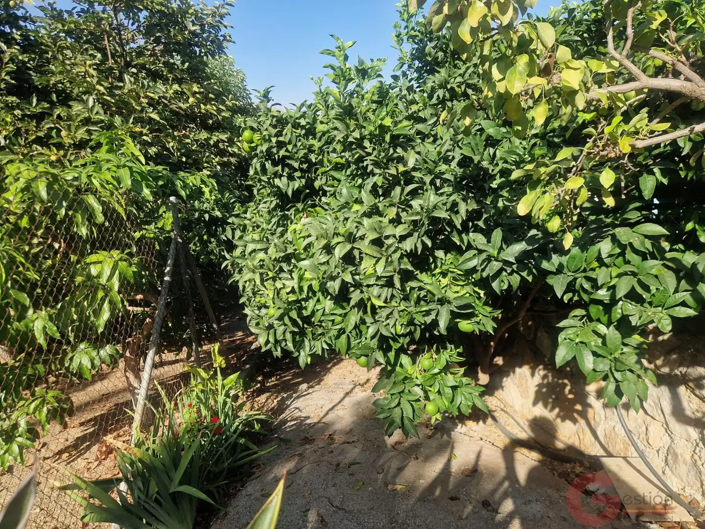 Casa con piscina en venta en Molvízar, imagen 8
