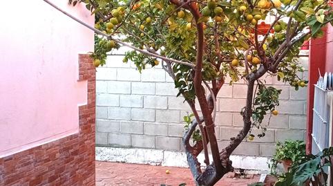 Foto 5 de Finca rústica en venta en Santiago - Coronación, Jerez de la Frontera