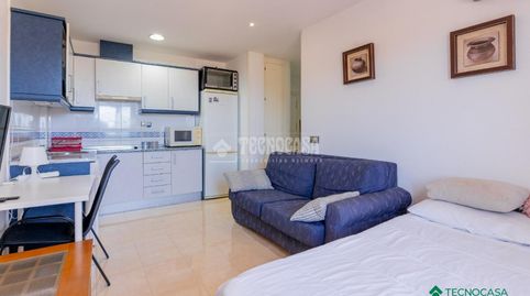 Foto 4 de Estudio en venta en La Envía, Vícar