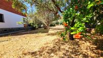 Jardí de Casa o xalet en venda en Castellbisbal amb Calefacció, Jardí privat i Terrassa