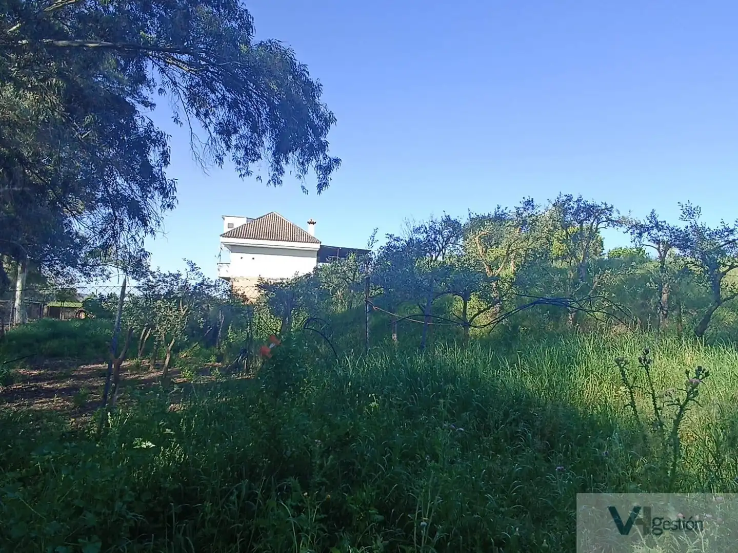 Casa rústica en venda a Bornos, imagen 6
