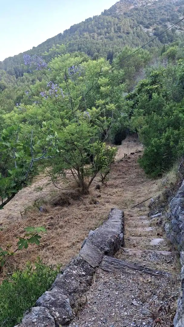 Finca rústica en venda en Cabanes amb Jardí privat, Terrassa i Piscina
