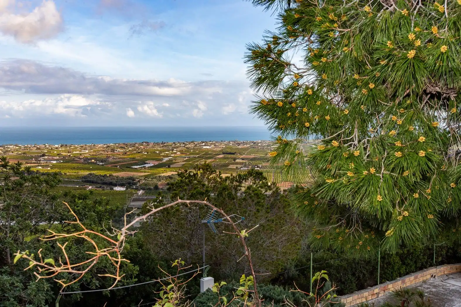 Casa o chalet en venta en Alcanar