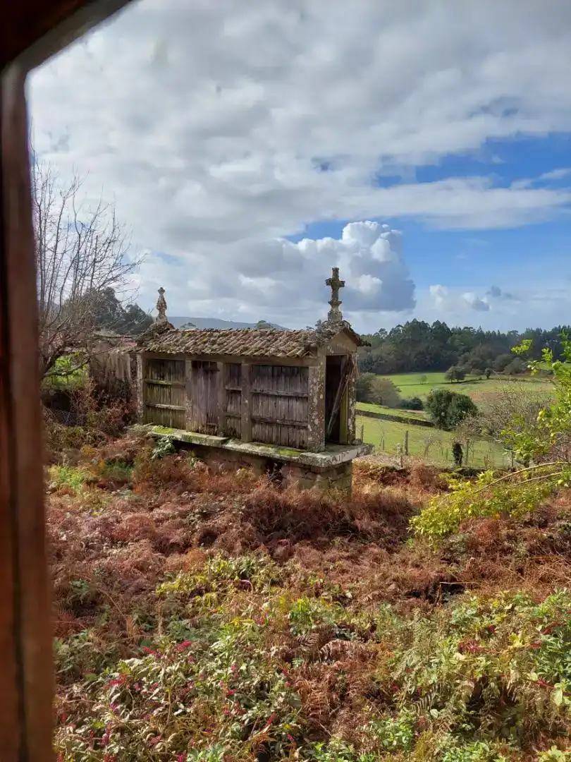 Jardín de Casa adosada en venta en Campo Lameiro, Pontevedra