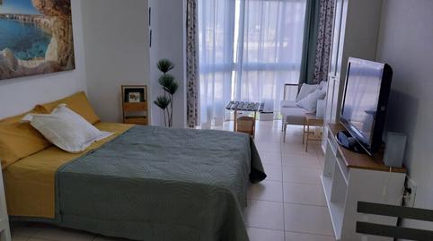 Photo 3 of Study to rent in Ciudad Jardín, Las Palmas de Gran Canaria