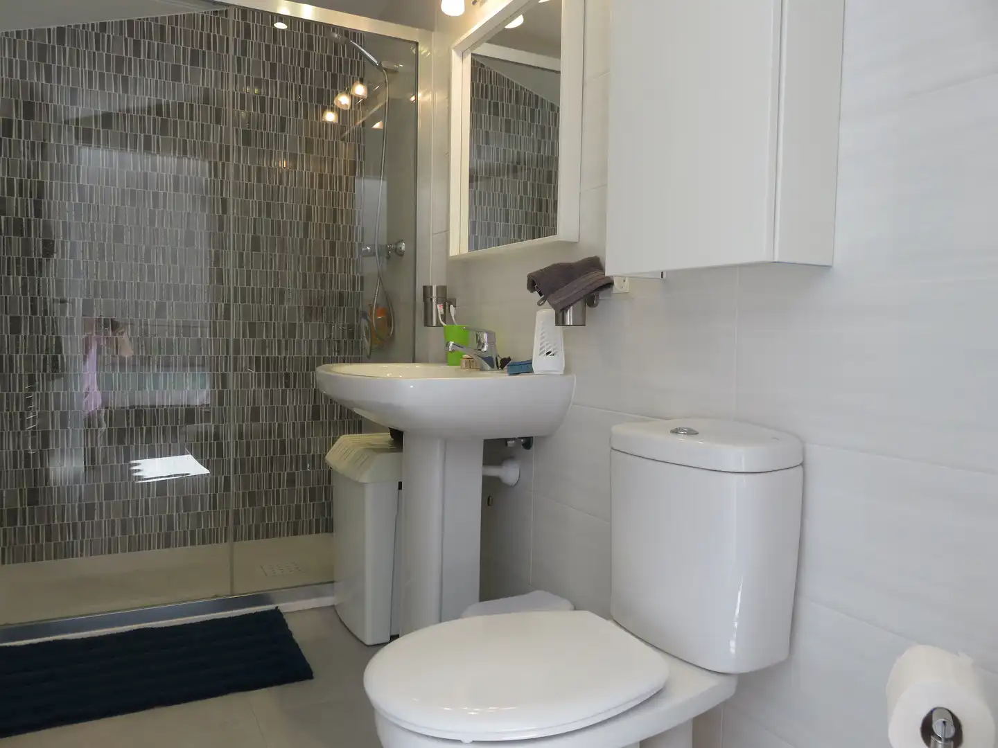 Baño de Casa o chalet en venta en L'Estartit con Jardín privado, Piscina y Amueblado
