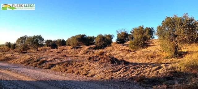 Terreno en Venta en Puiggròs