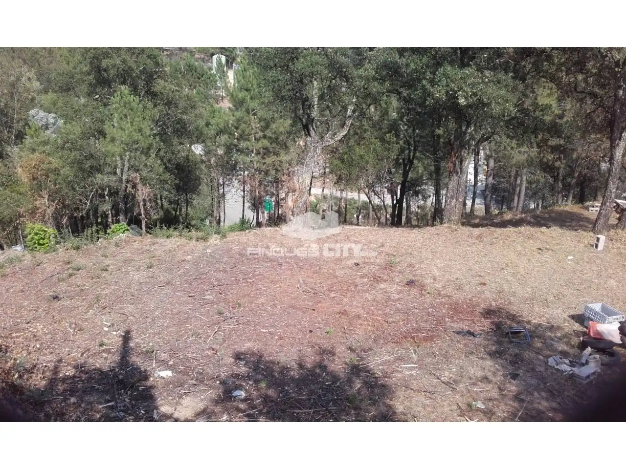 Terreno residencial en venta en Calle Pantà, imagen 8
