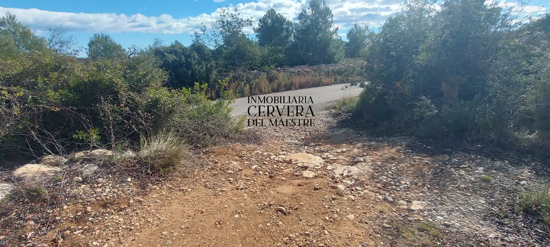 Terreno rustico in vendita a Partidas de interior - Zona Rústica, imagen 18