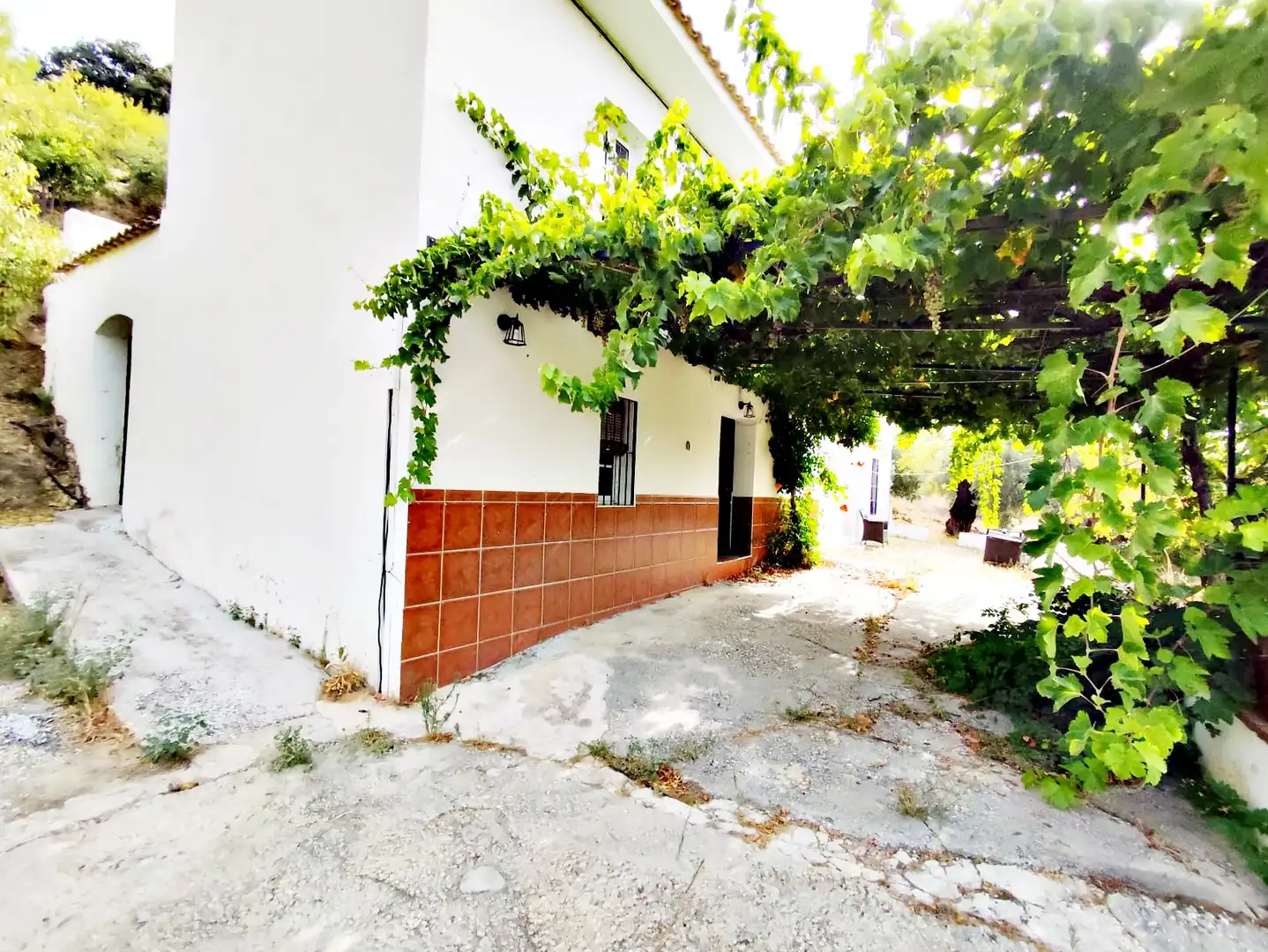 Vista exterior de Finca rústica en venta en Coín con Jardín privado, Trastero y Amueblado