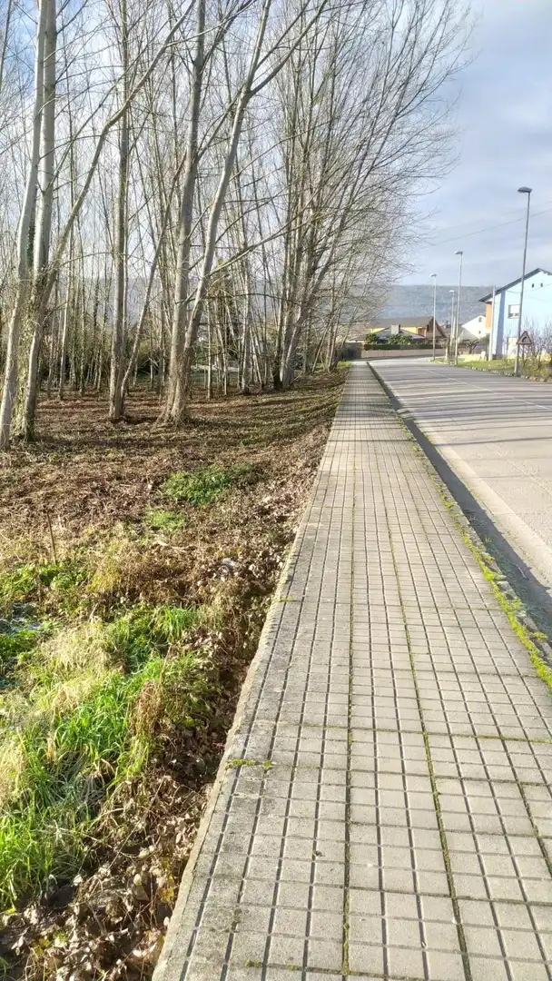 Terreni e lotti in vendita a Flores de Sil - La Placa, imagen 4