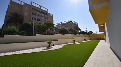 Foto 3 de Planta baja en venta en Calle Jose Samper Garcia, 1, Torreblanca, Torrevieja