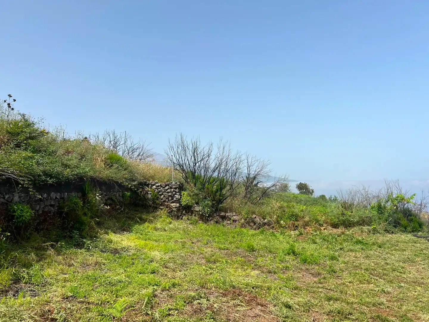 Terreno rústico en venta en Carretera Nueva Corujera, imagen 19