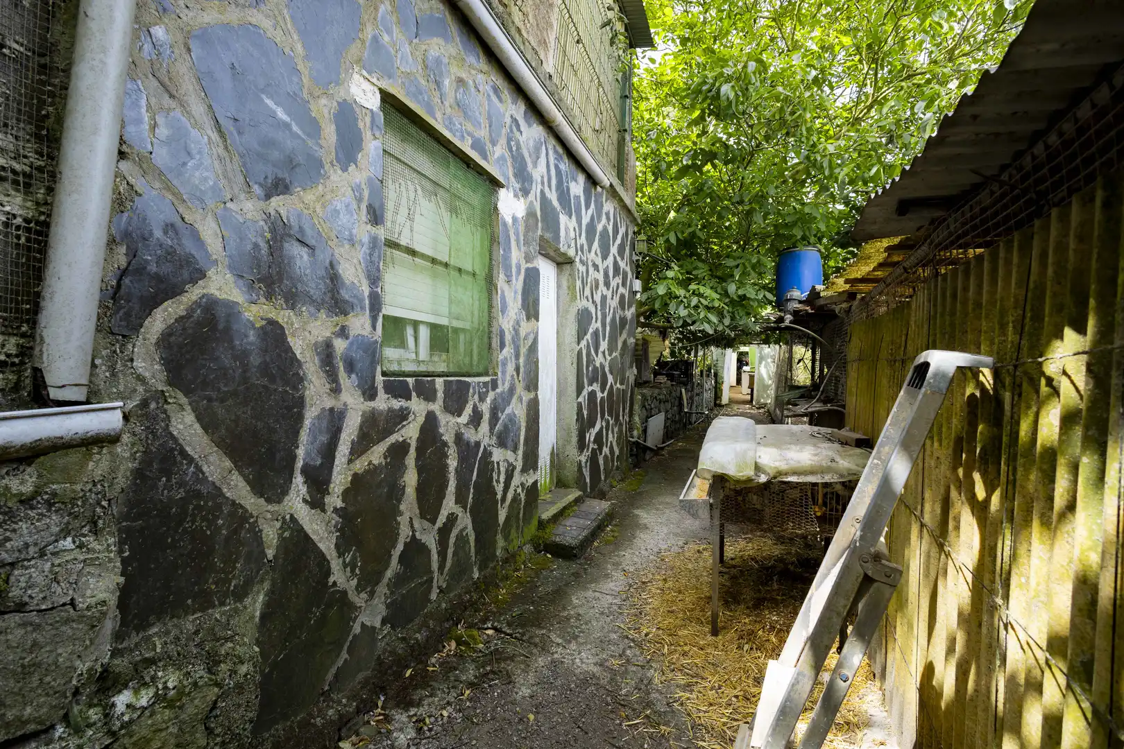 Rural land for sale in Tegueste, imagen 12