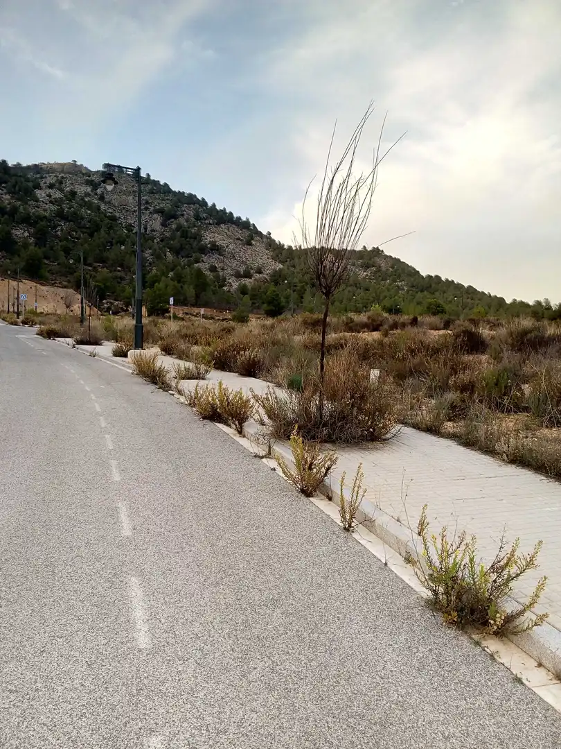 Residential land for sale in Solana Parcelas Ado, imagen 2