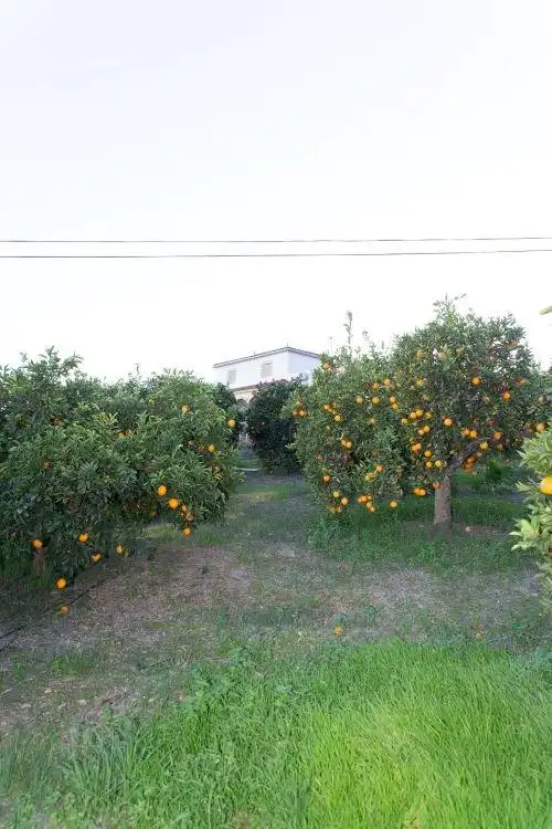 Jardí de Casa o xalet en venda en Jimena de la Frontera