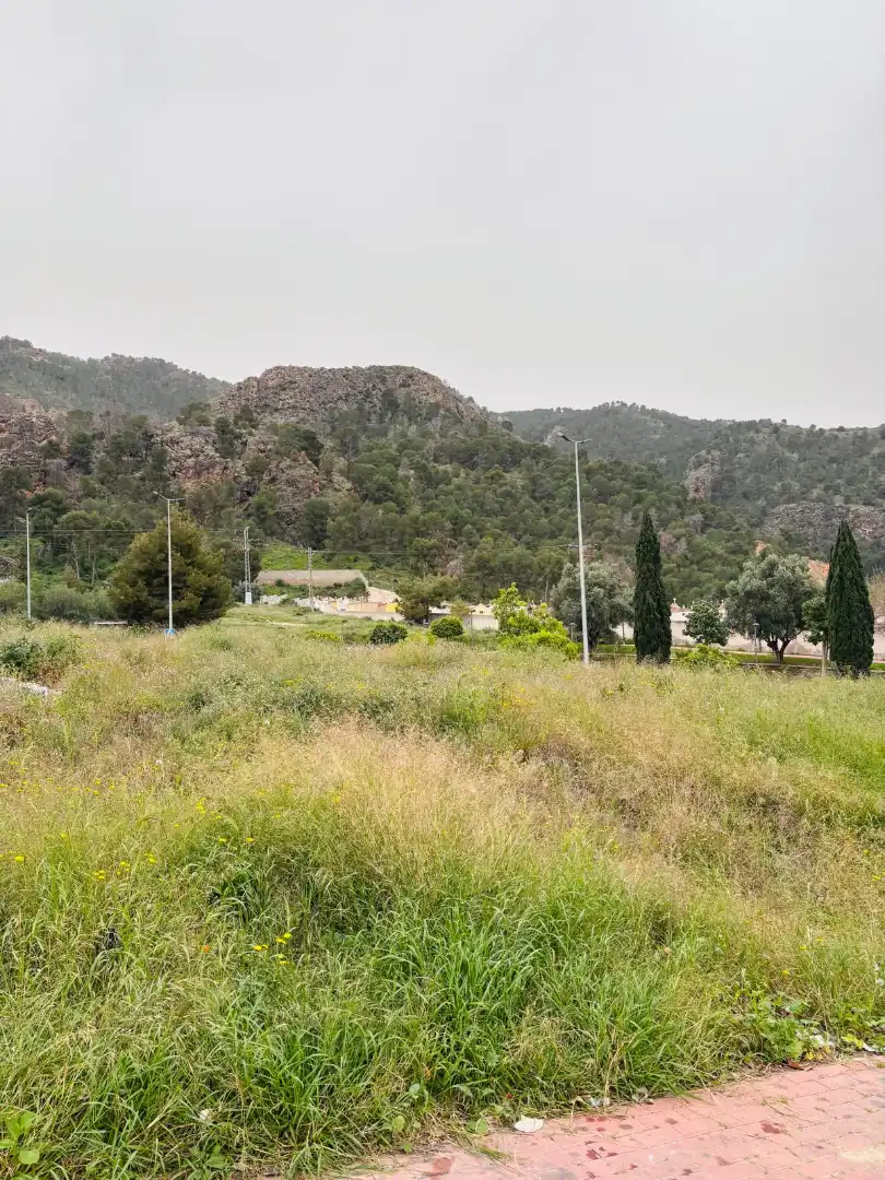 Terreny residencial en venda a Pedanías Este