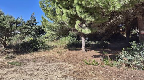 Foto 2 de Residencial en venta en Los Caños de Meca, Barbate