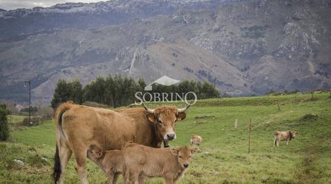 Foto 5 de Piso en venta en Calle Avenida de la Vega de Santiago, 1, Posada - Barro, Llanes