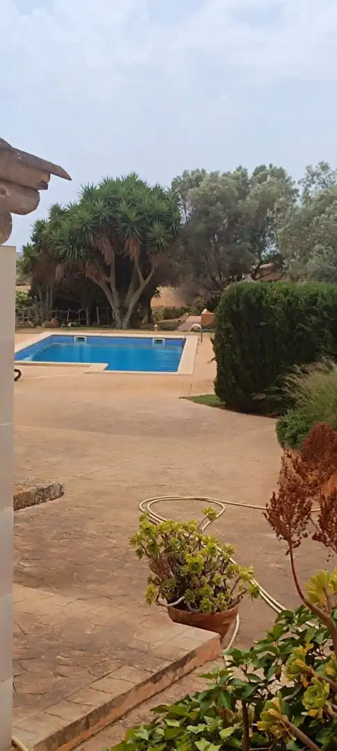 House with pool for sale in Vía de Servei, imagen 42