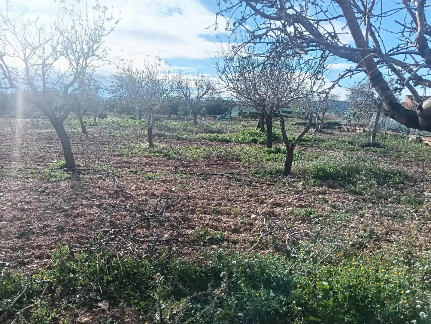 Casa o chalet en venta en Llíria