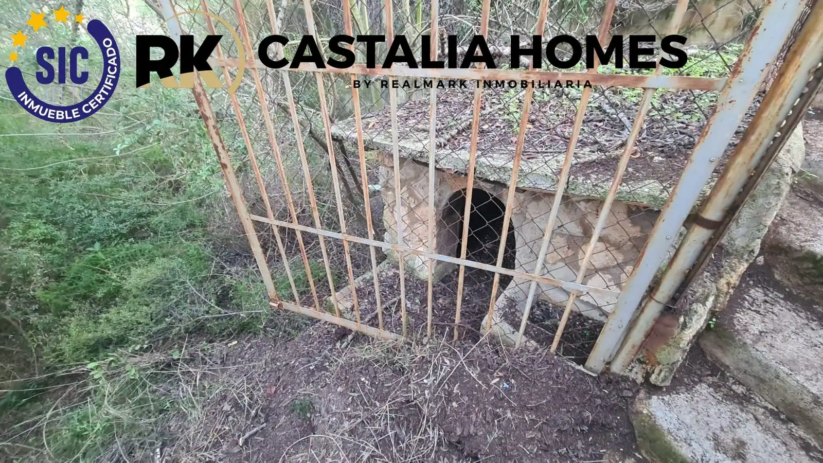 Vista exterior de Casa o chalet en venta en Borriol con Jardín privado y Piscina