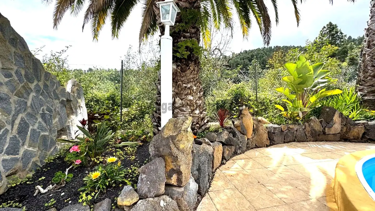 Jardín de Finca rústica en venta en Icod de los Vinos con Piscina