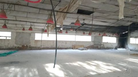 Foto 2 von Fabrikhallen zum Verkauf in Rambla de las Viñas, Dólar, Granada
