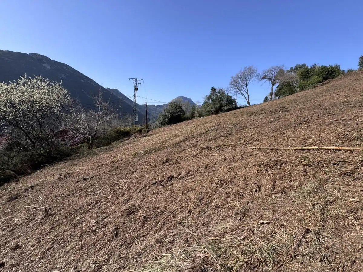 Grundstücke und Bauplätze zum Verkauf in Vibaña - Ardisana - Caldueño, imagen 23