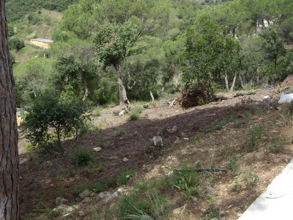 Terrain résidentiel à vendre à Alzina