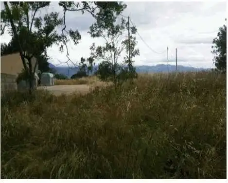 Rural land for sale in Poligono 92, imagen 10