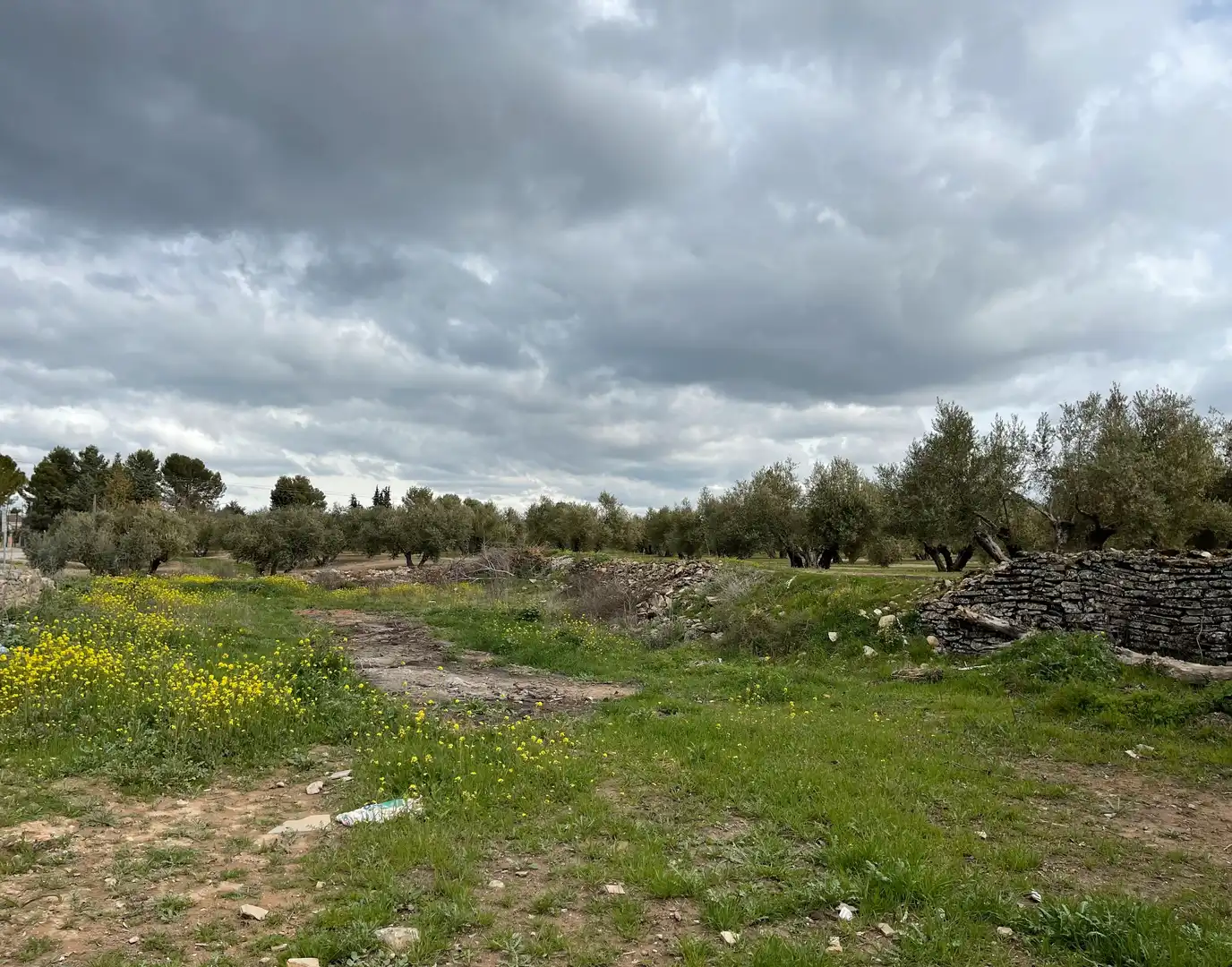 Terreni e lotti in vendita a Úbeda, imagen 2
