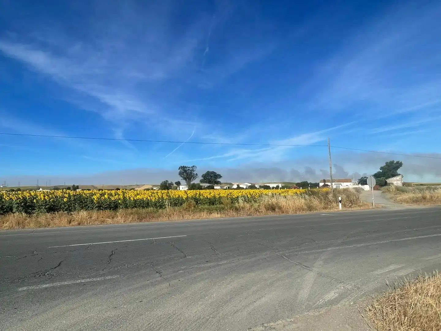 Exterior view of Land for sale in Huelva
