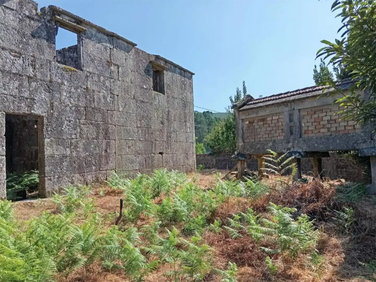 Vista exterior de Finca rústica en venda en Fornelos de Montes