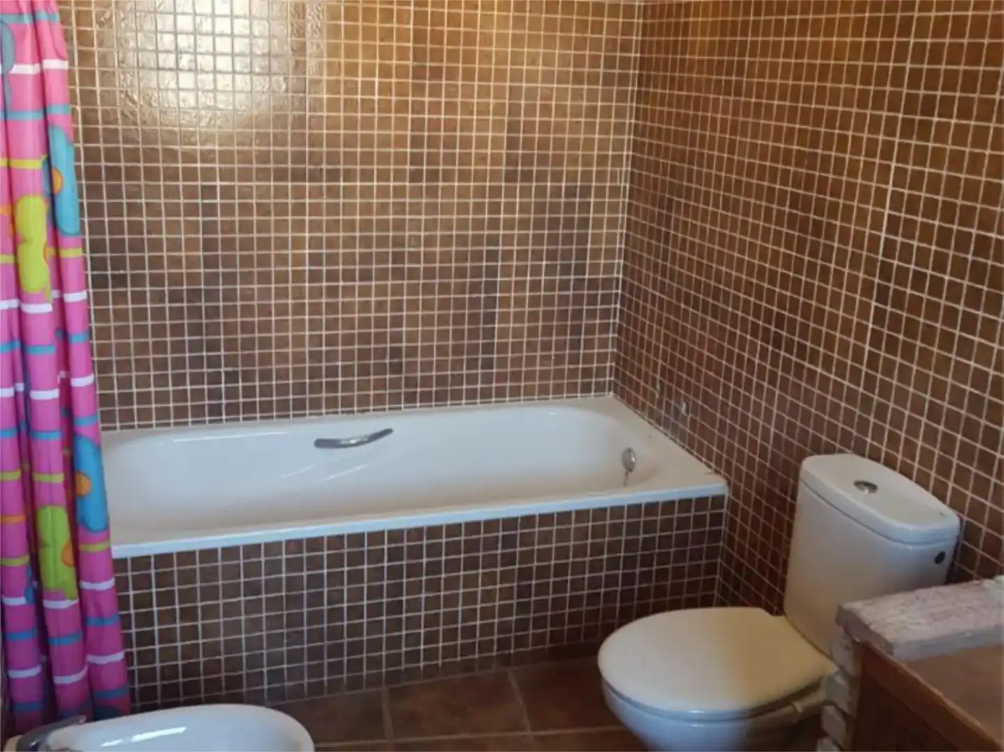 Baño de Casa o chalet en venta en Cartajima