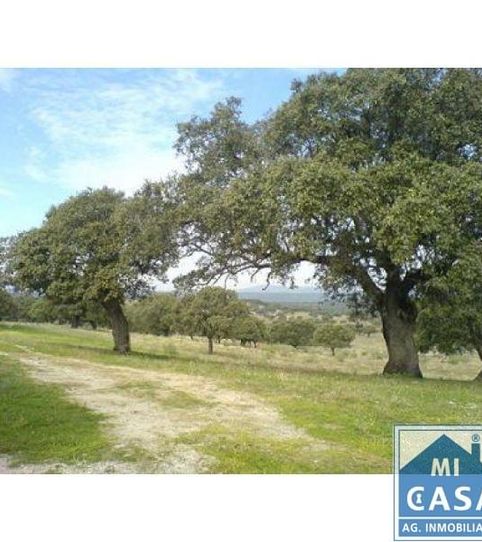 Foto 2 de Finca rústica en venta en Este, Mérida