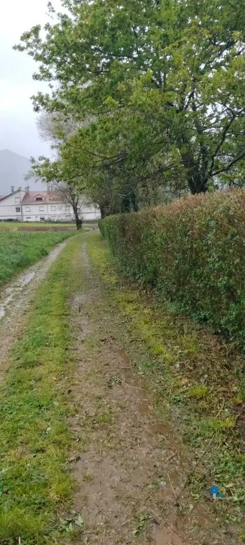 Terreni e lotti in vendita a Rasines, imagen 8