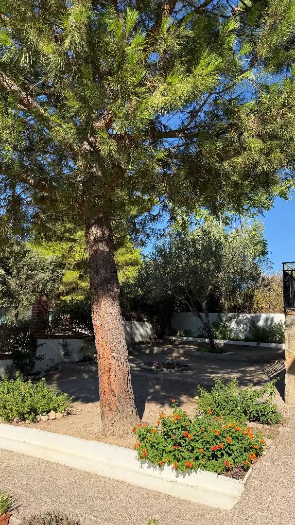 Jardín de Casa o chalet en venta en Santa Cruz del Retamar con Aire acondicionado, Calefacción y Jardín privado