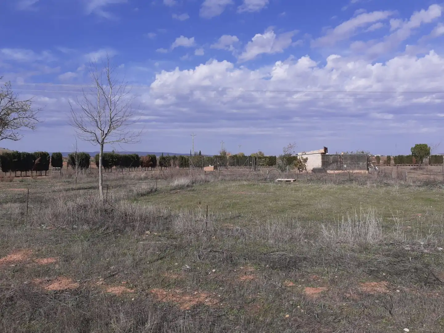 Lands and plots for sale in Valdepeñas, imagen 4