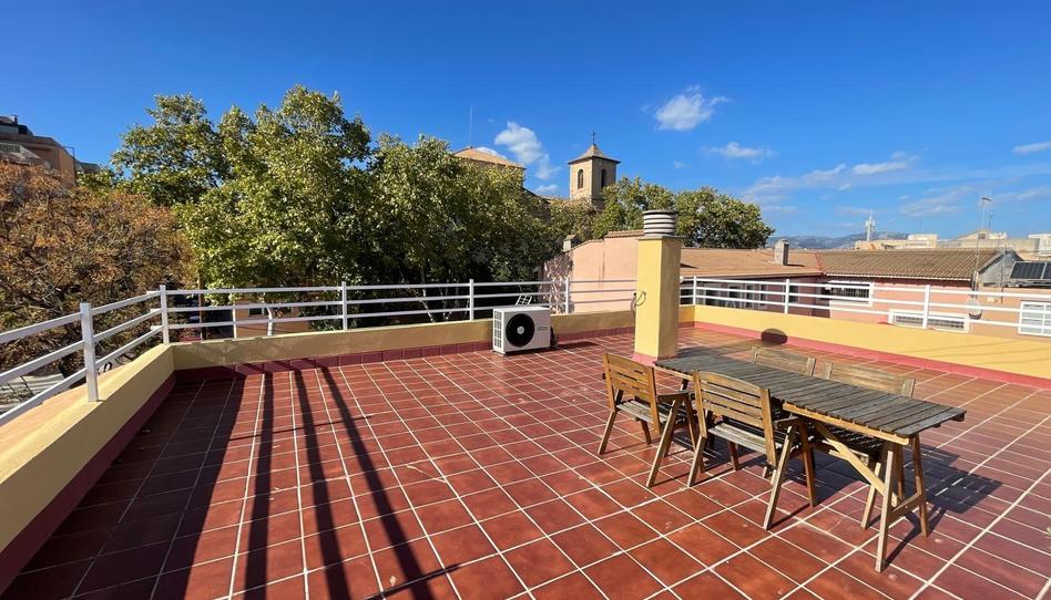 Foto 1 de Piso de alquiler en Son Serra - Sa Vileta, Illes Balears