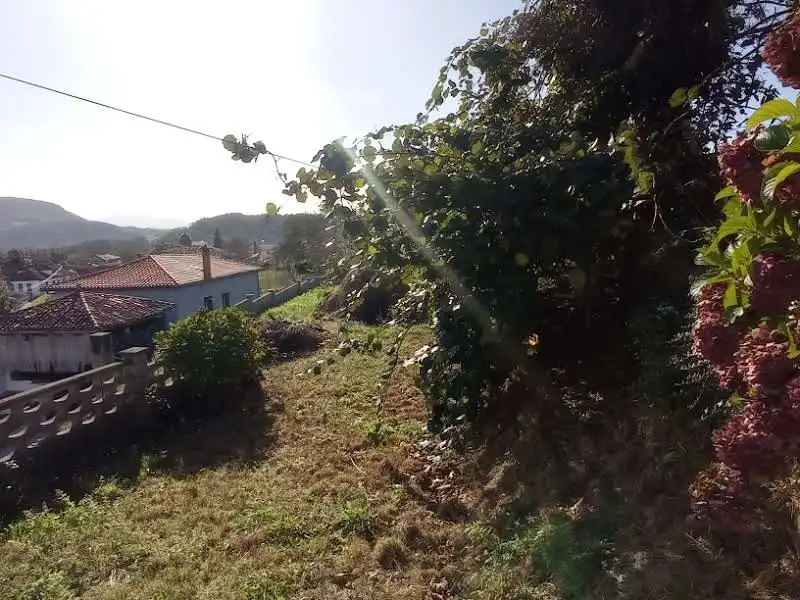 Maison à vendre à Salas, imagen 10